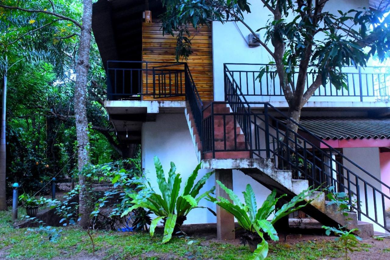 Wild Heaven Udawalawe Hotel Exterior foto