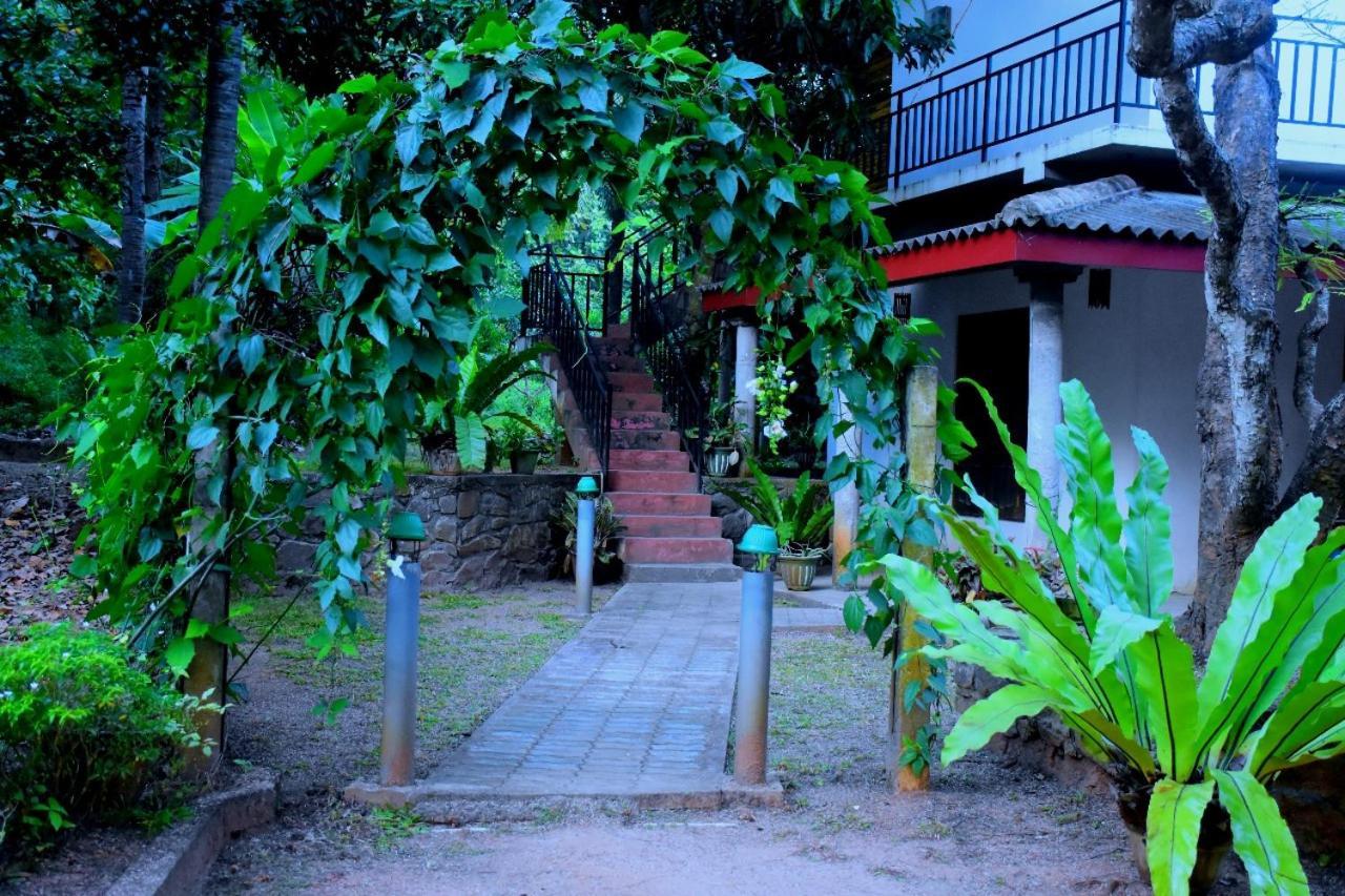 Wild Heaven Udawalawe Hotel Exterior foto