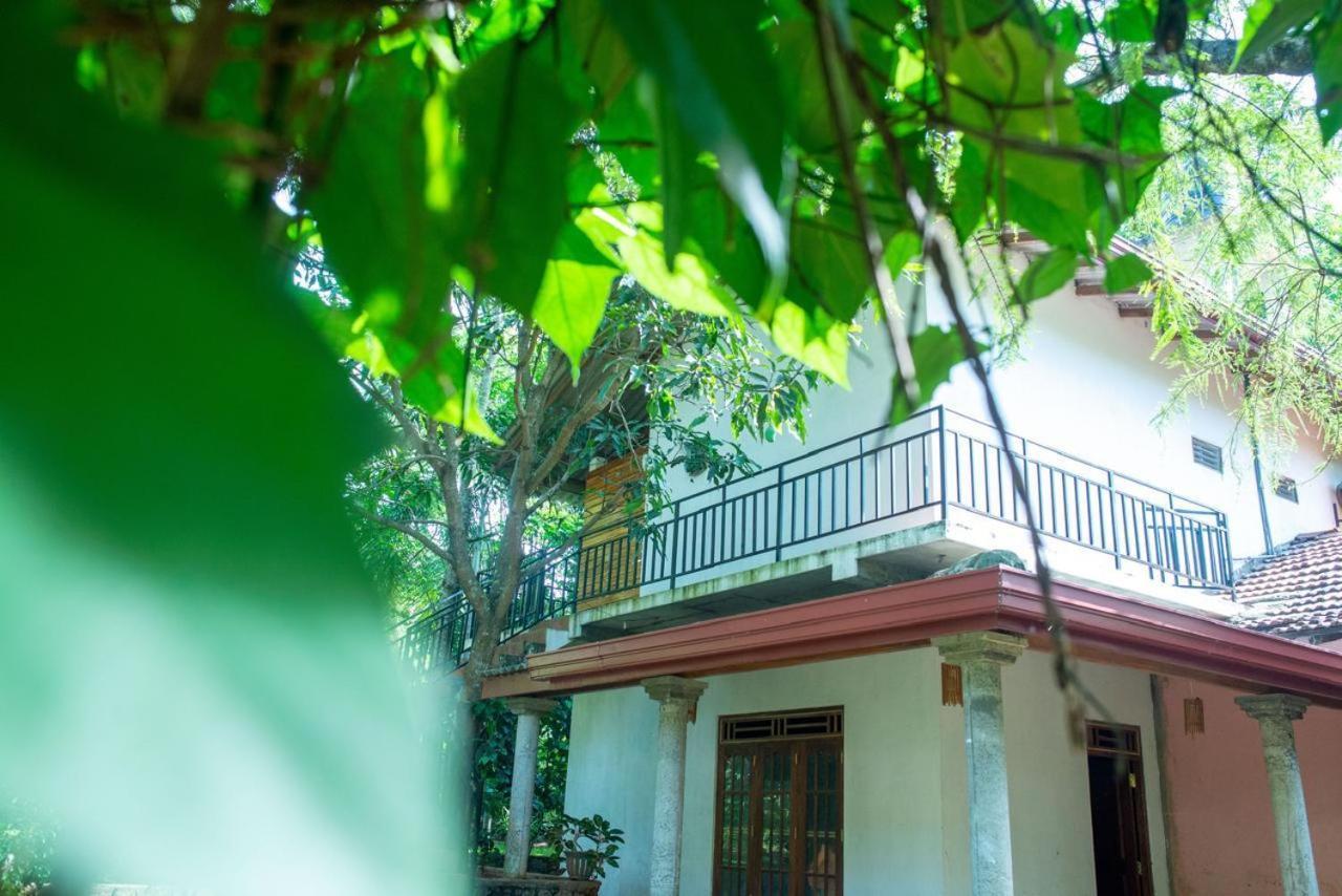 Wild Heaven Udawalawe Hotel Exterior foto