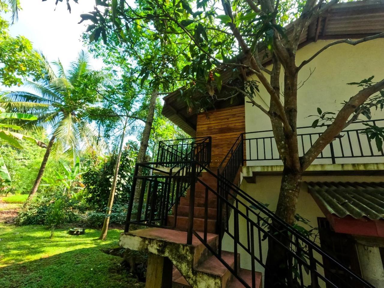 Wild Heaven Udawalawe Hotel Exterior foto