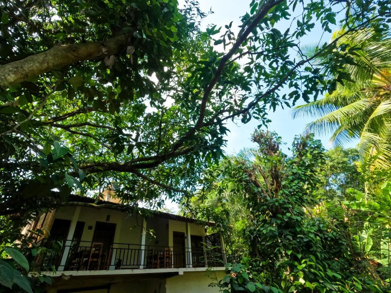 Wild Heaven Udawalawe Hotel Exterior foto
