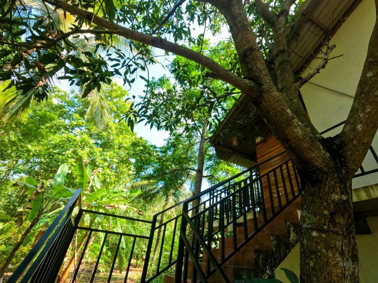 Wild Heaven Udawalawe Hotel Exterior foto