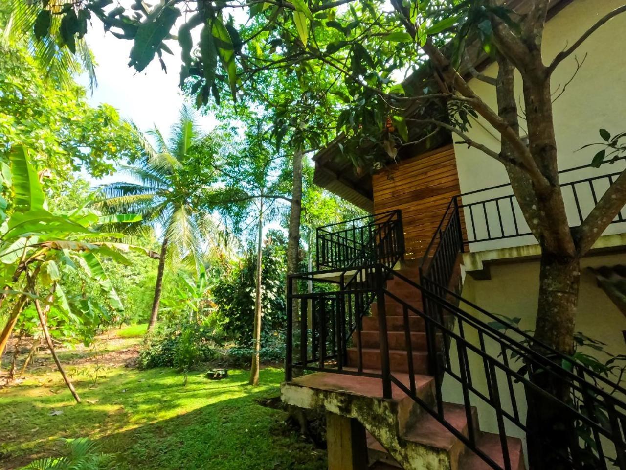 Wild Heaven Udawalawe Hotel Exterior foto