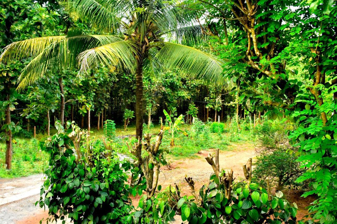 Wild Heaven Udawalawe Hotel Exterior foto